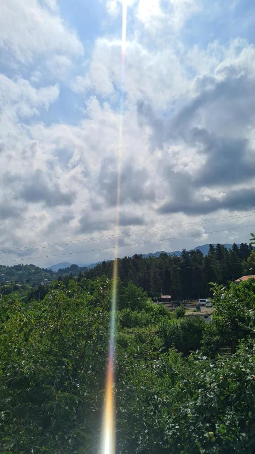 Gios Guest House Chakvi Luaran gambar
